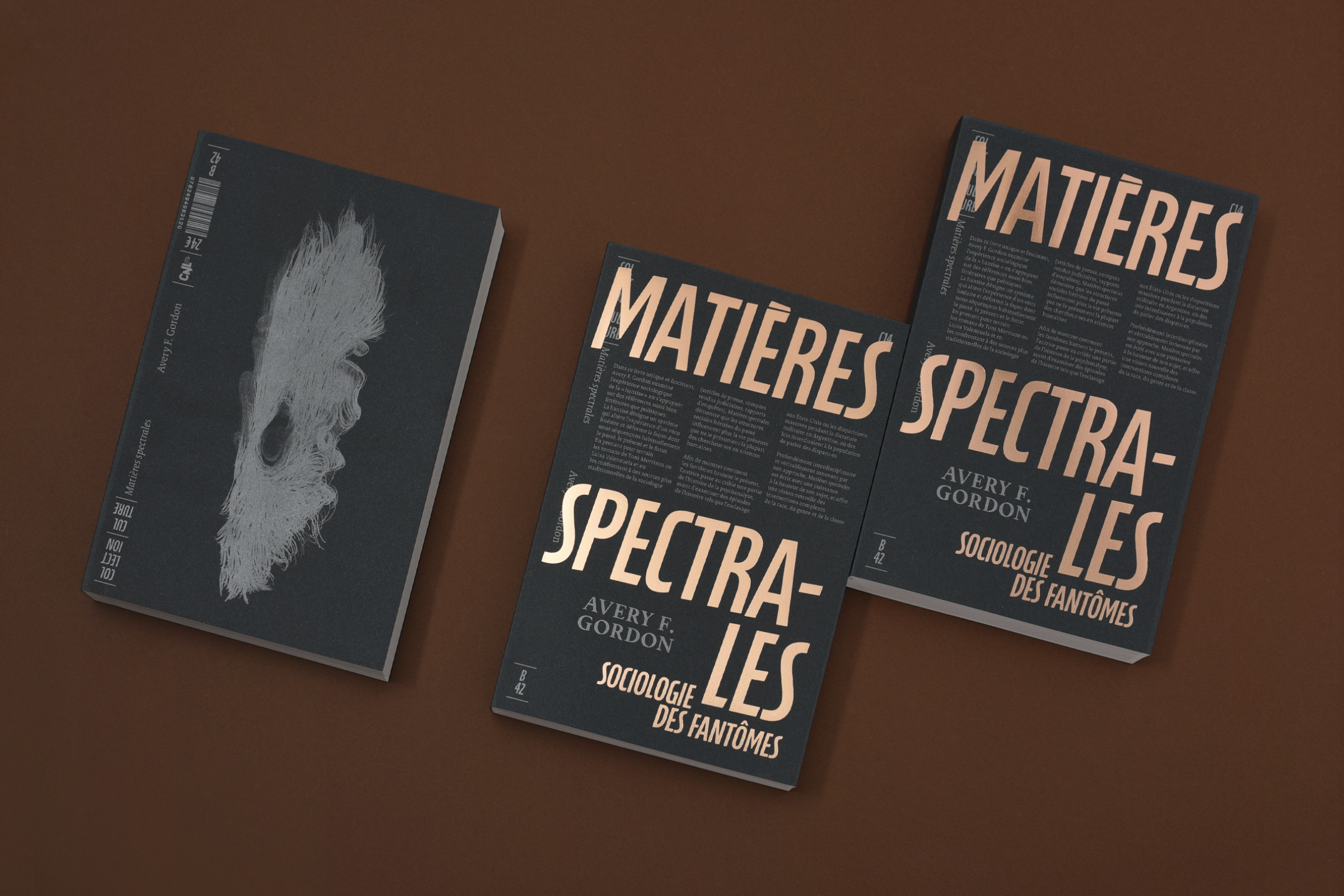 Matières spectrales: par l’autre porte … - Les Modernes - librairie Grenoble