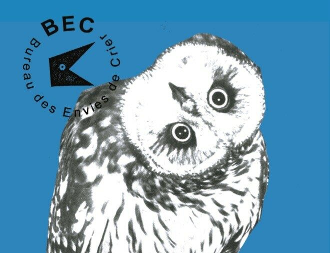 « Faucon s’y mouette » d’Ambre Lavandier - Les Modernes - librairie Grenoble « Faucon s’y mouette » d’Ambre Lavandier - Les Modernes - librairie Grenoble