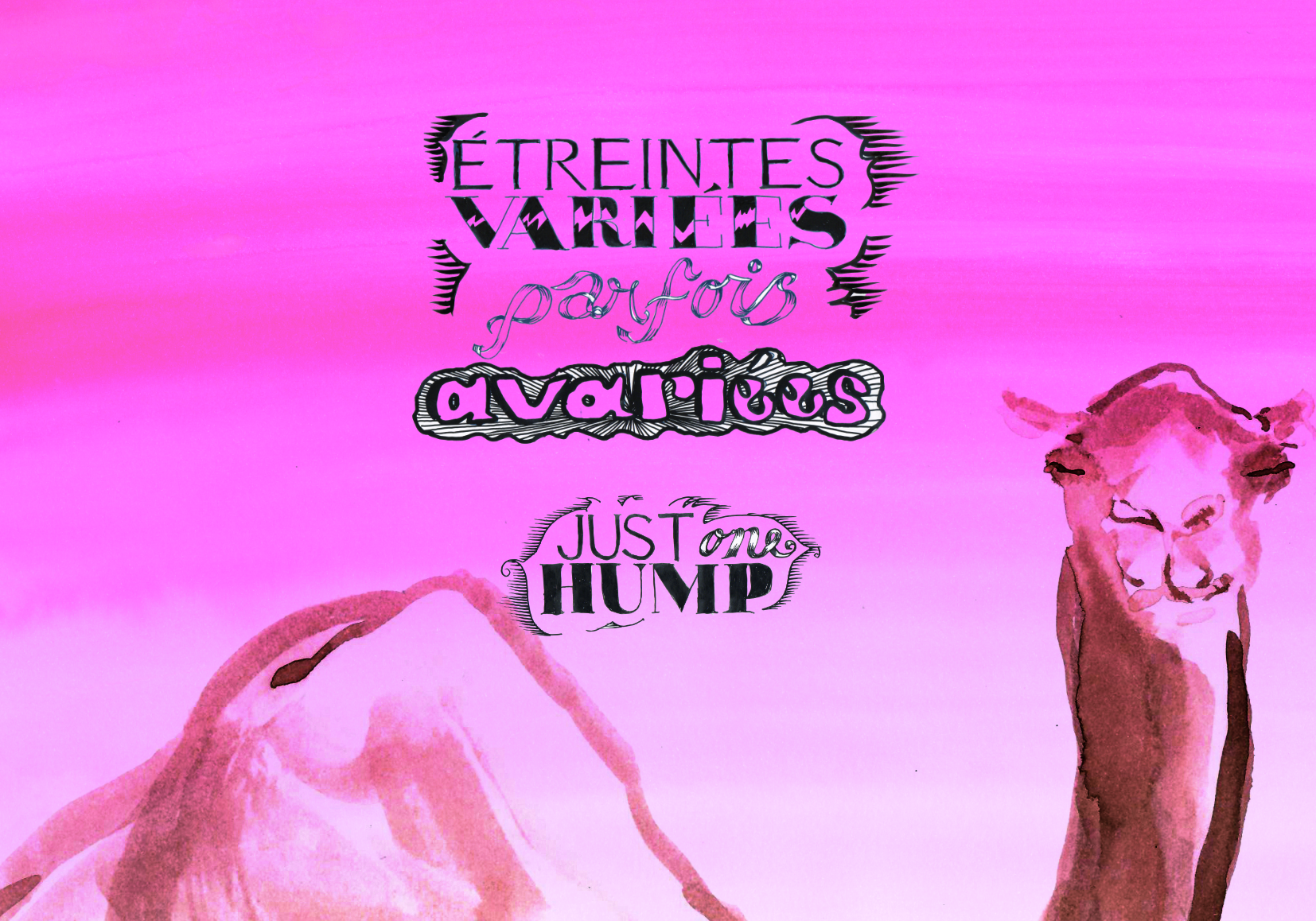 « Étreintes variées, parfois avariées » de Liz Rácz - Les Modernes - librairie Grenoble