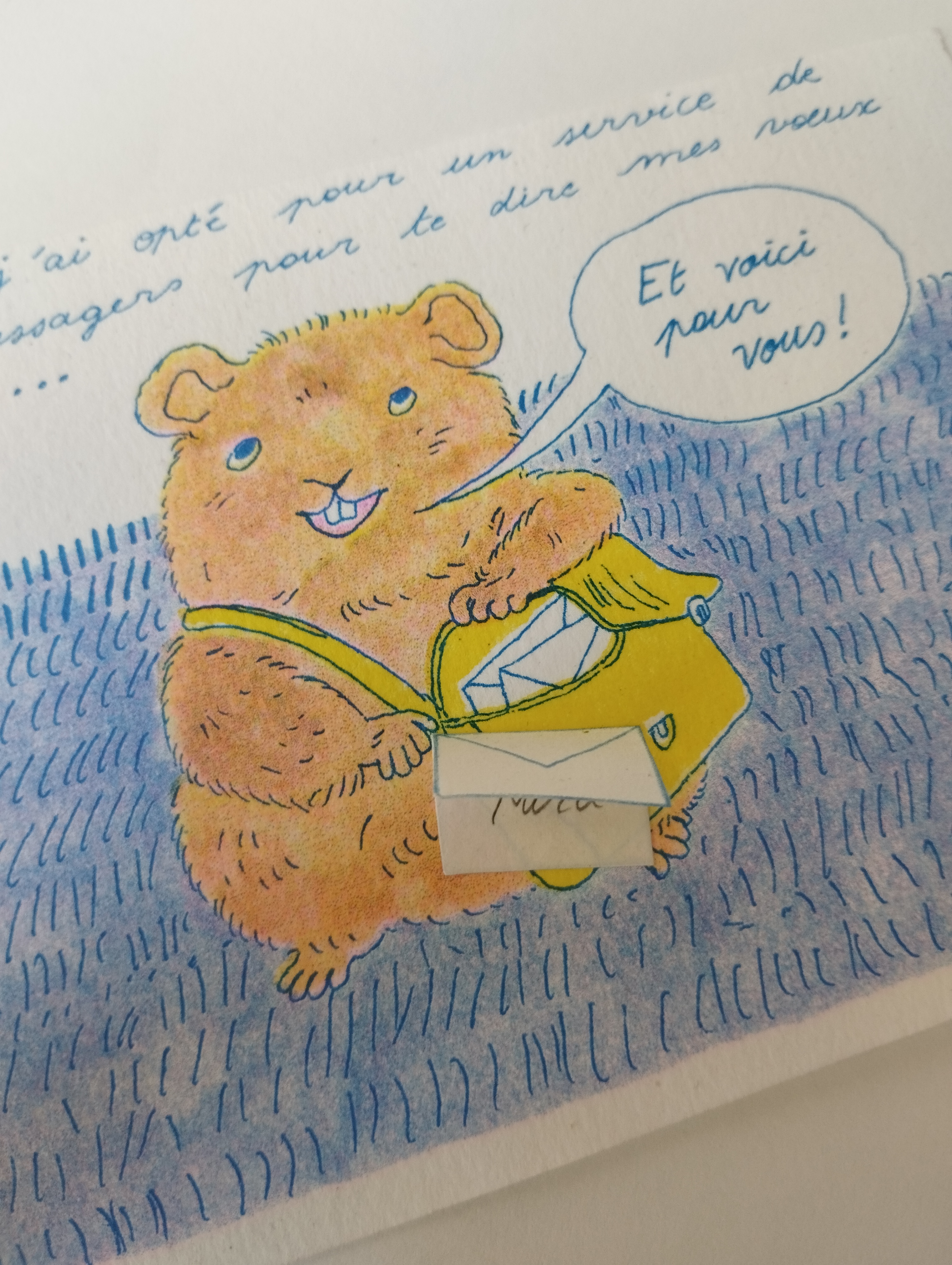 Cartes à flaps à flabriquer ! - Les Modernes - librairie Grenoble