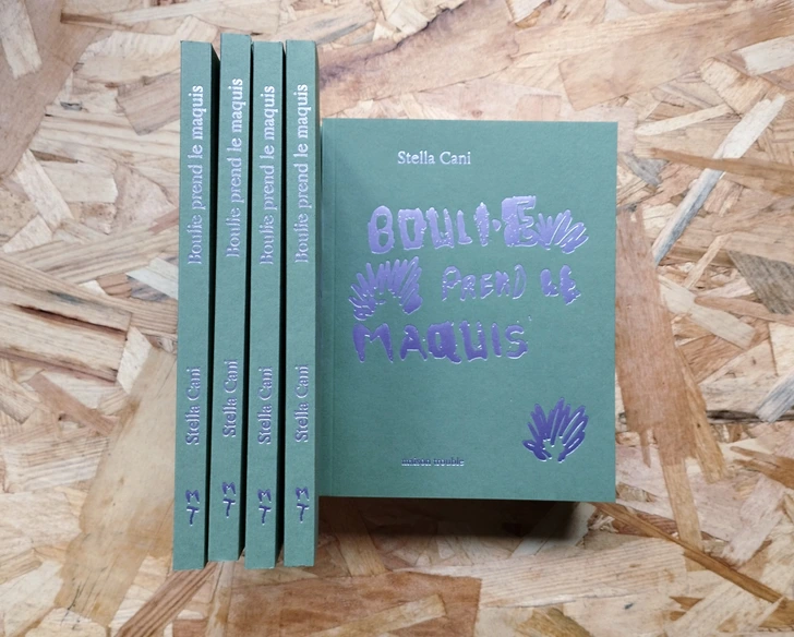 Bouli·e prend le maquis - Les Modernes - librairie Grenoble